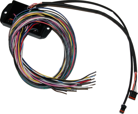 Namz Custom Cycle Bike Harness Modules