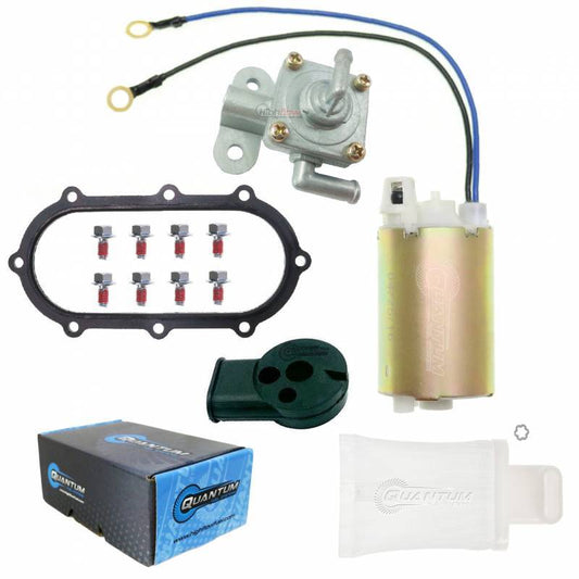 Quantum Electric Fuel Pump • #821-03064