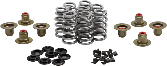 Kpmi BEEHIVE VALVE SPRING KIT .640 LIFT  M8`17-24 NON VVT