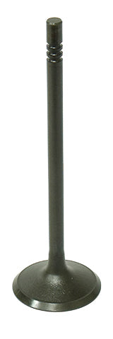 Bronco Intake Valve • #183-09195