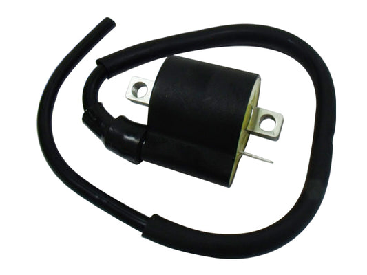 Bronco Atv Ignition Coil • #183-2020