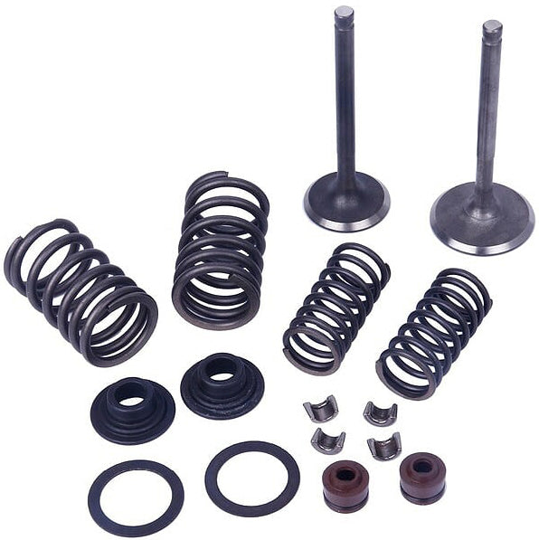 Mogo Parts Vertical Engine Valve Kit