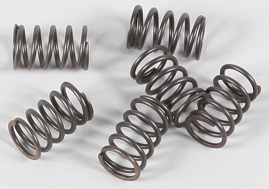 Ebc Clutch Springs Csk18