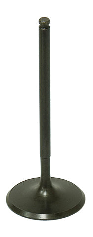 Bronco Intake Valve • #183-09190