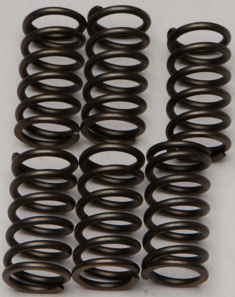 Ebc Clutch Springs Csk159