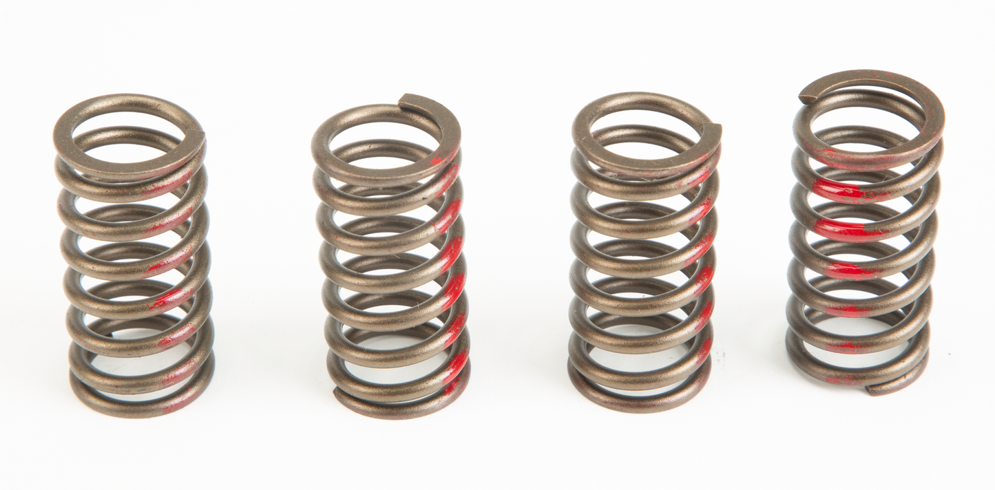 Pro Circuit High Performance Clutch Springs