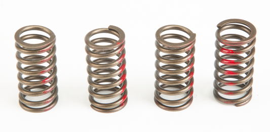 Pro Circuit High Performance Clutch Springs