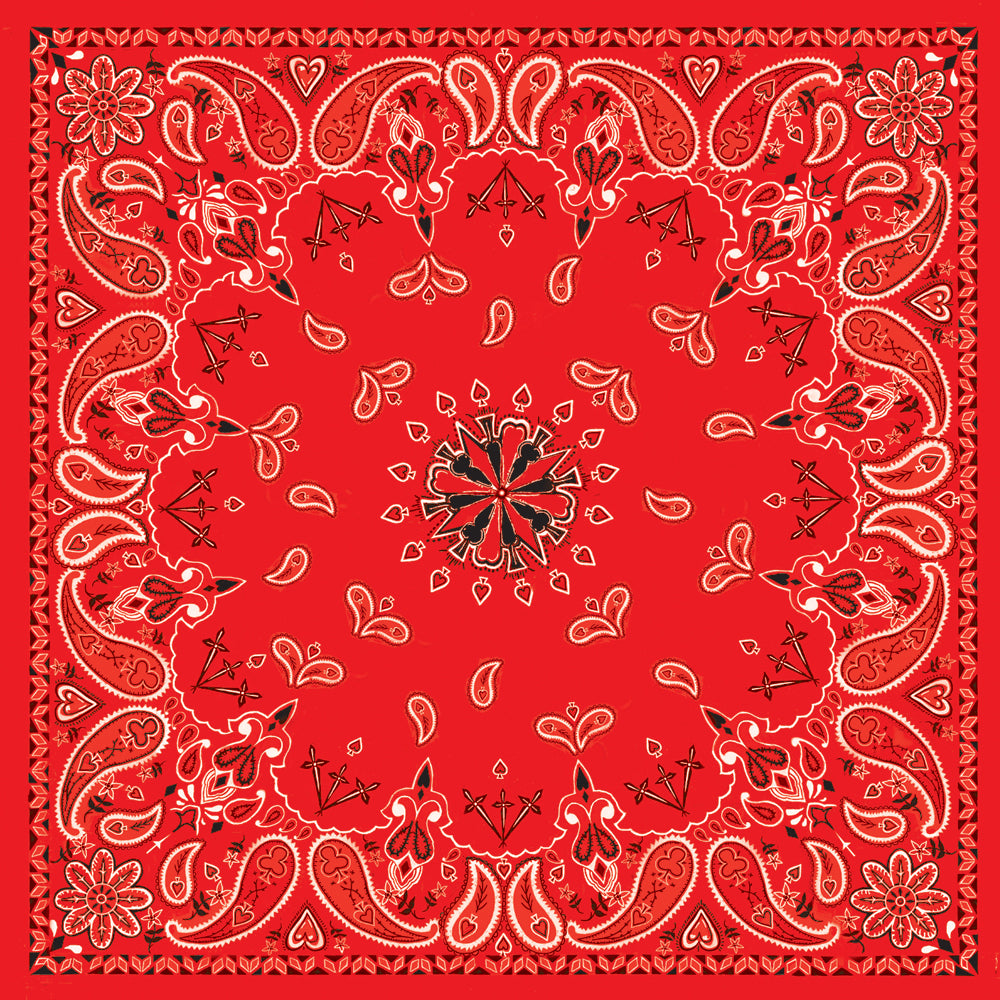 Zan Bandanna