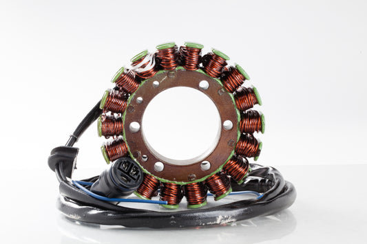 Ricks Stator • #27-21215