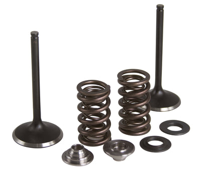 Kpmi Intake Valve Spring Kit