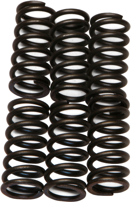 Ebc Clutch Springs Csk6