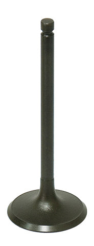 Bronco Intake Valve • #183-09191