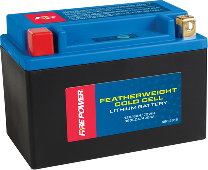 Fire Power Coldweather Lithium Battery