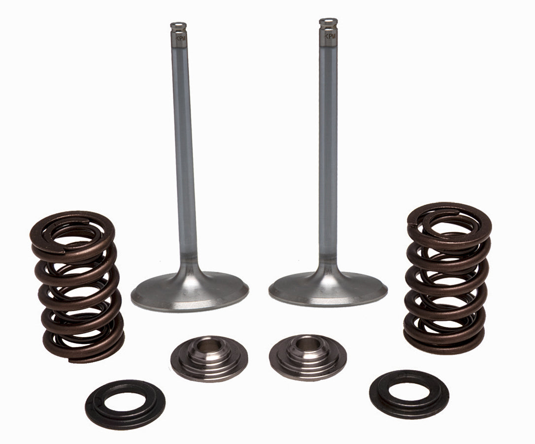 Kpmi Intake Valve Spring Kit