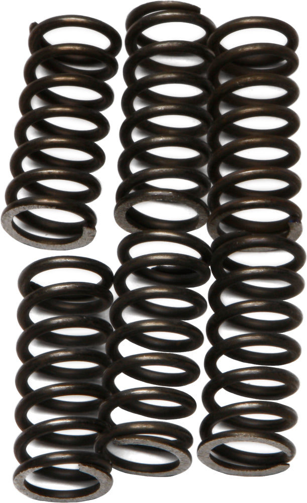 Ebc Clutch Springs Csk46