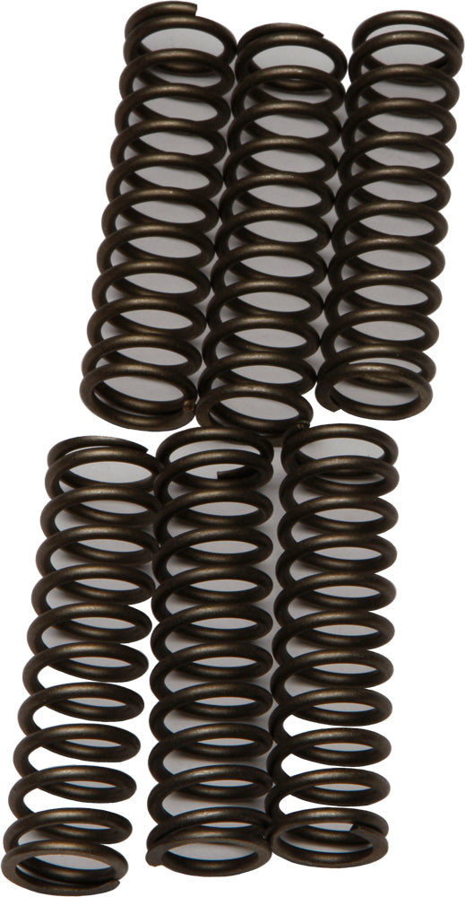 Ebc Clutch Springs Csk109