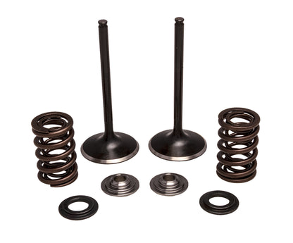 Kpmi Intake Valve Spring Kit