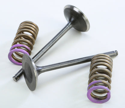 Prox Steel Intake Spring Kit