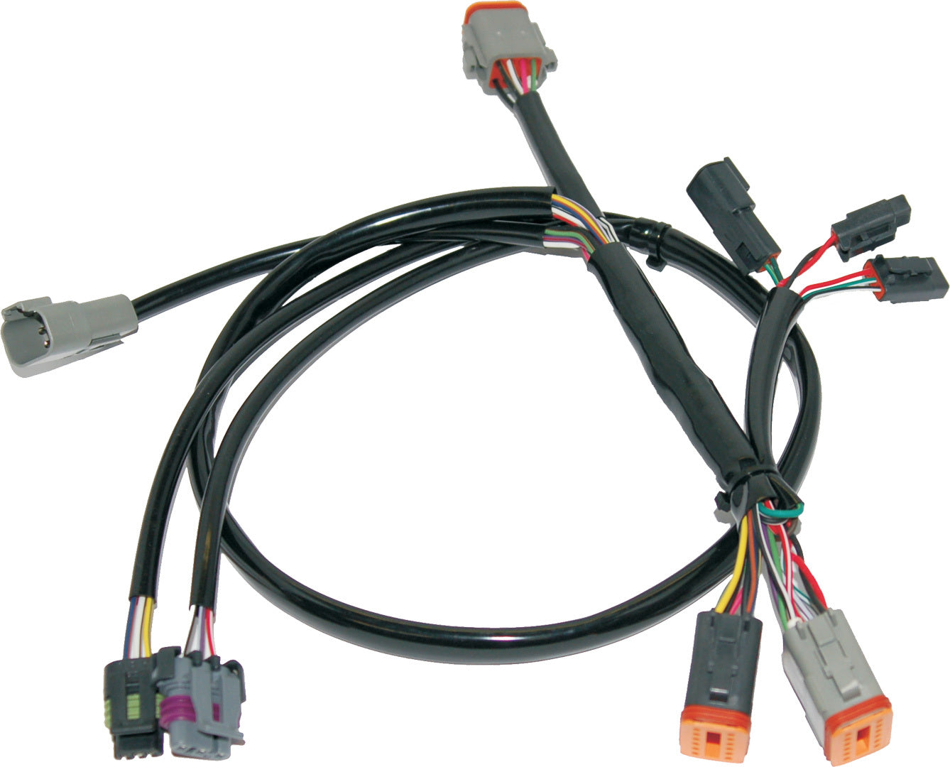 Namz Custom Cycle Ignition/EFI Wiring Harnesses