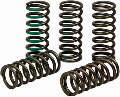 Pro Circuit High Performance Clutch Springs