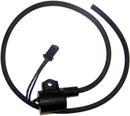 Wsm Ignition Coil