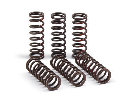 Pro Circuit High Performance Clutch Springs